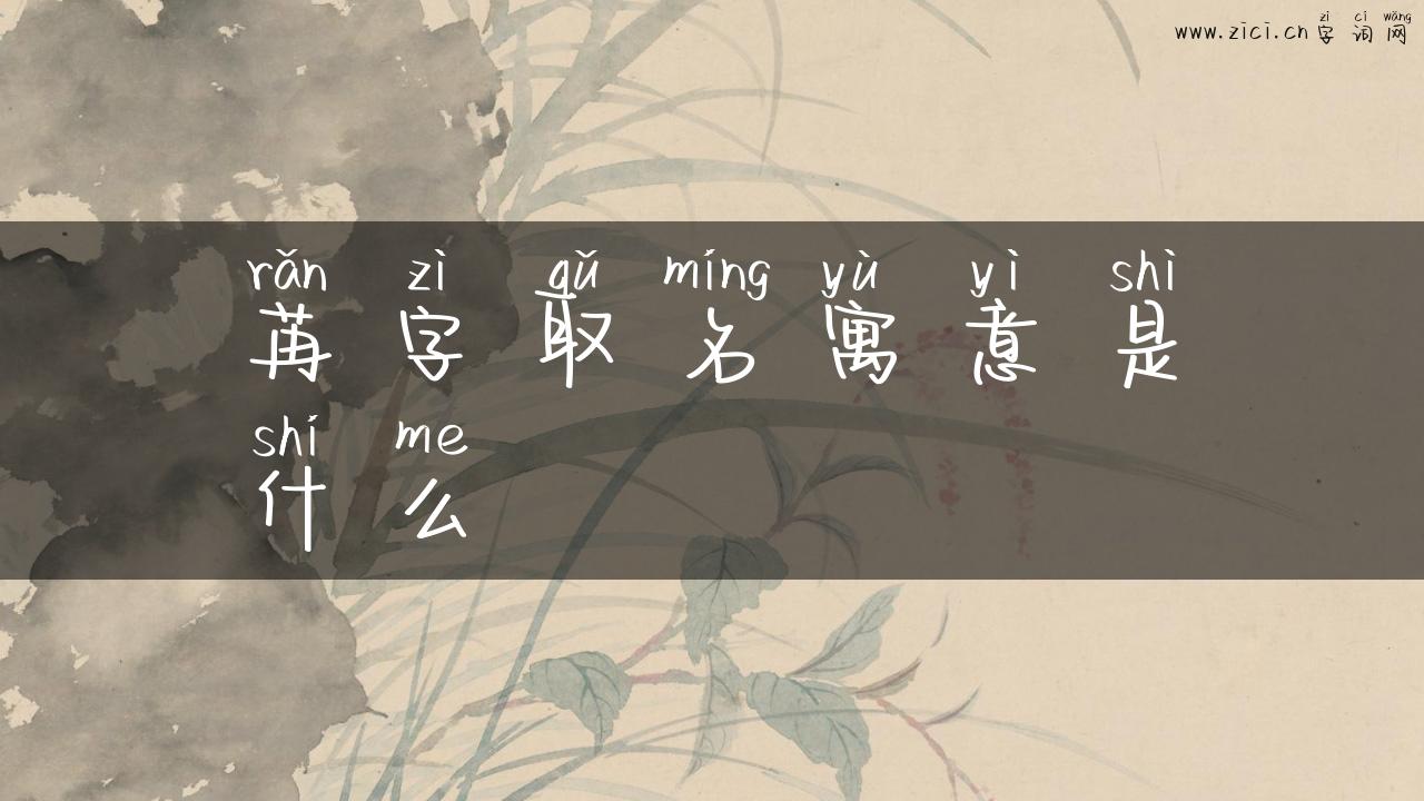 苒字取名寓意是什么