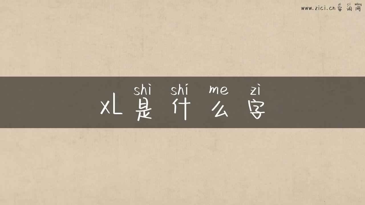 xL是什么字