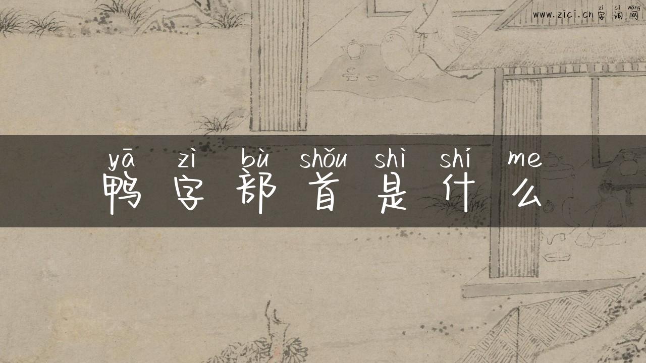 鸭字部首是什么