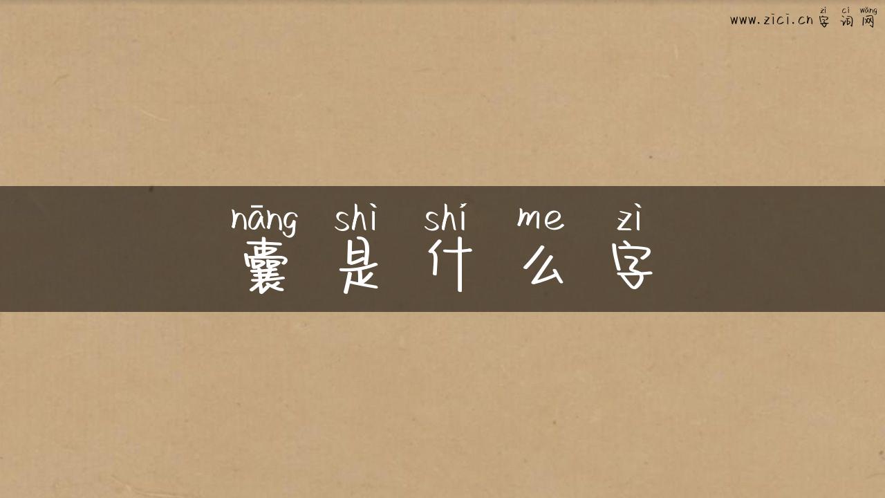 囊是什么字