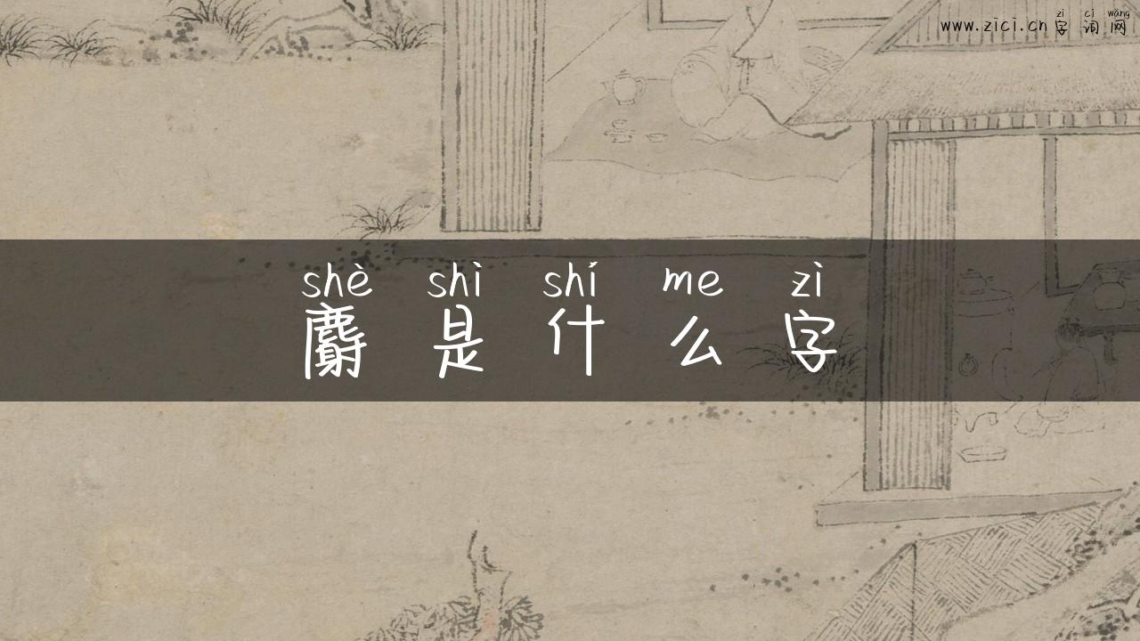 麝是什么字