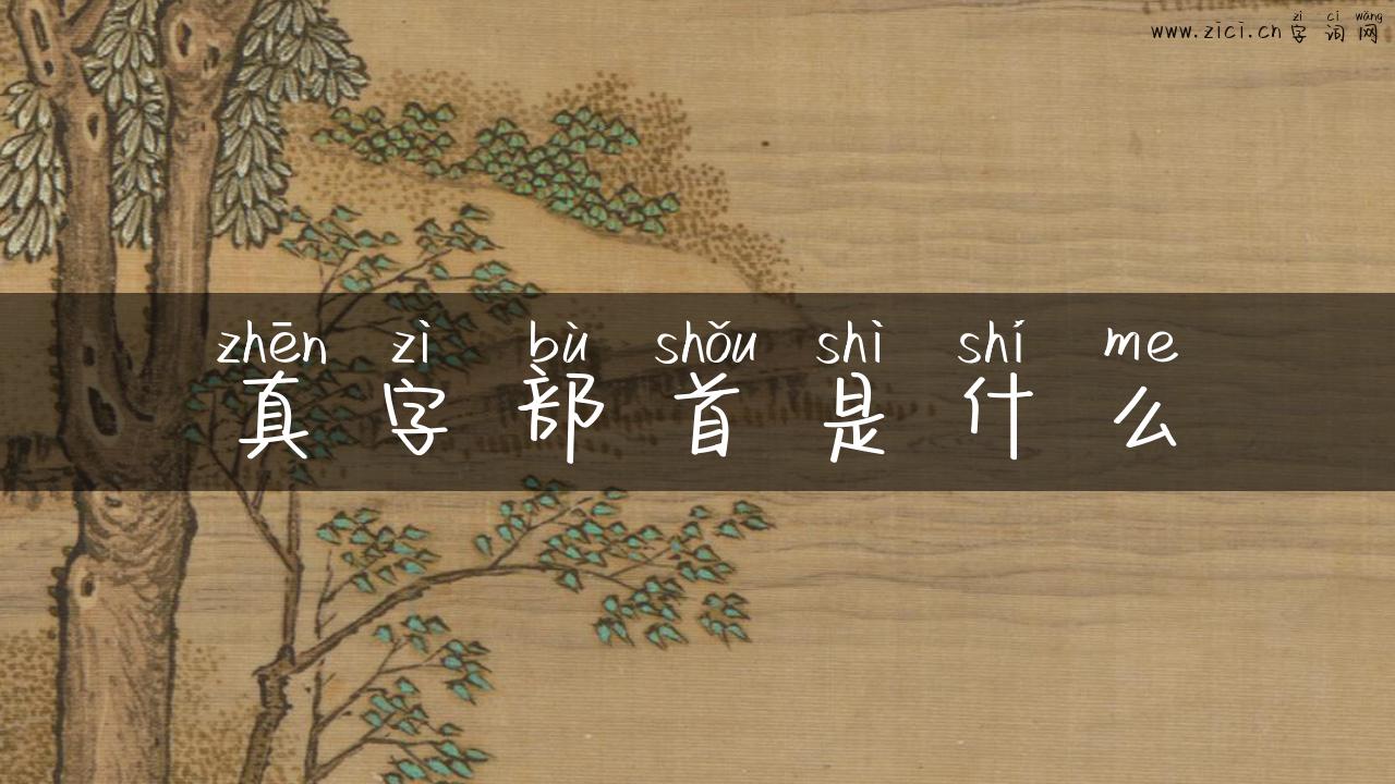 真字部首是什么