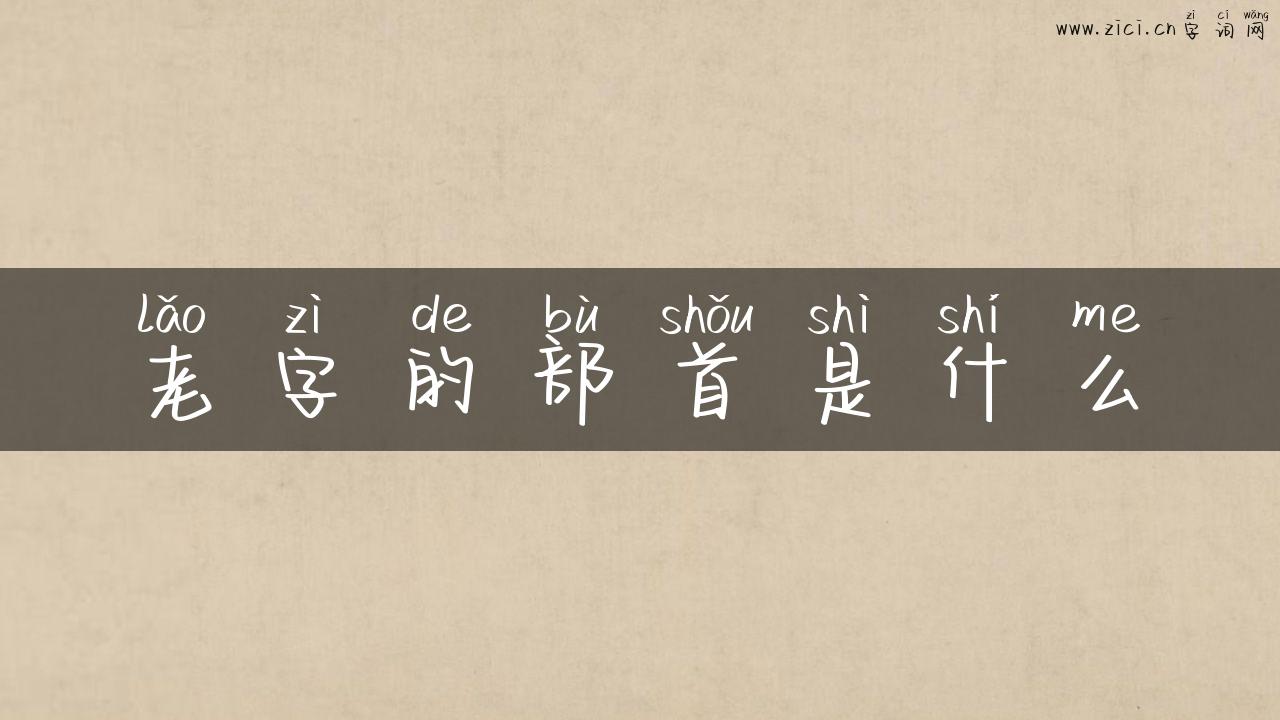 老字的部首是什么