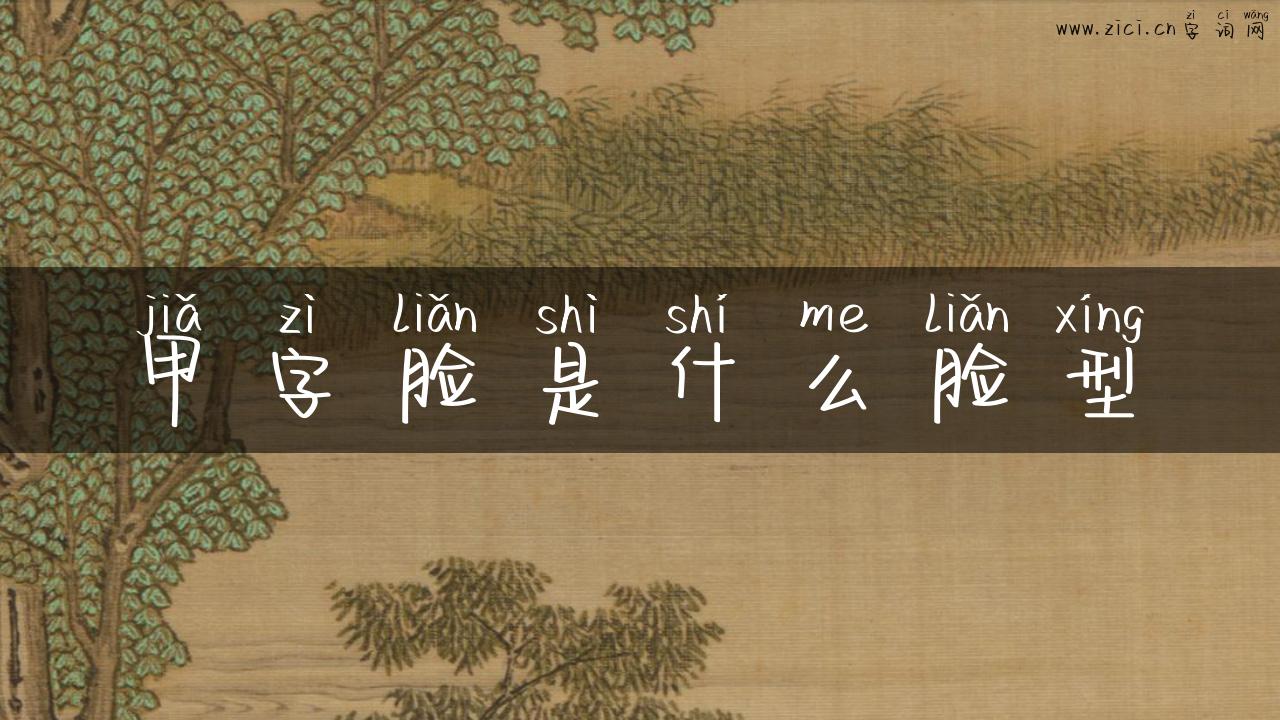 甲字脸是什么脸型