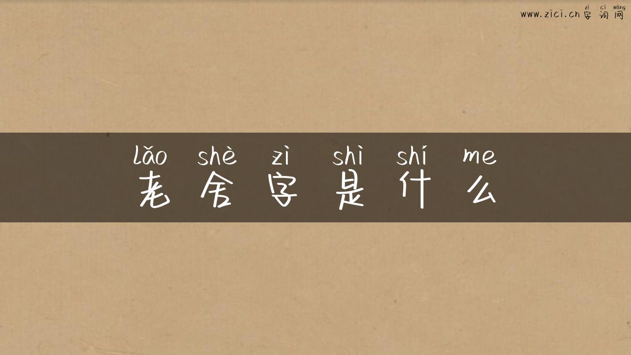 老舍字是什么