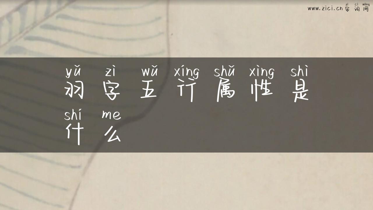 羽字五行属性是什么