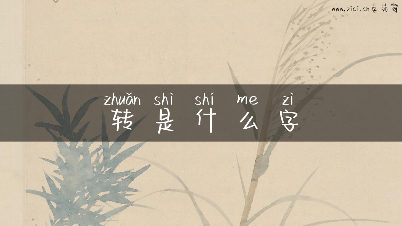 转是什么字