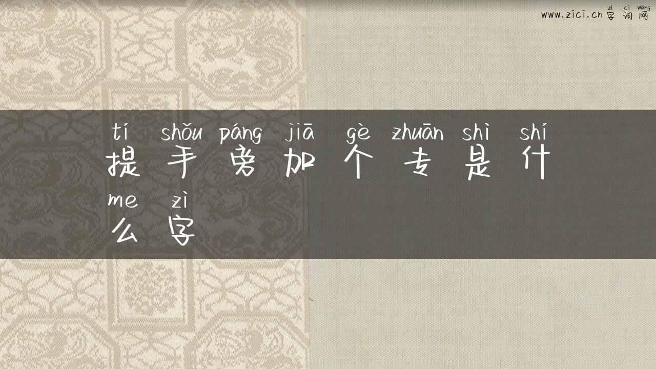 提手旁加个专是什么字