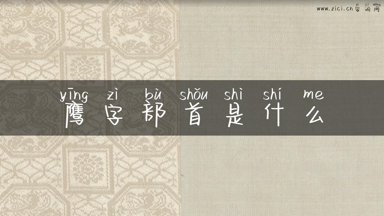 鹰字部首是什么