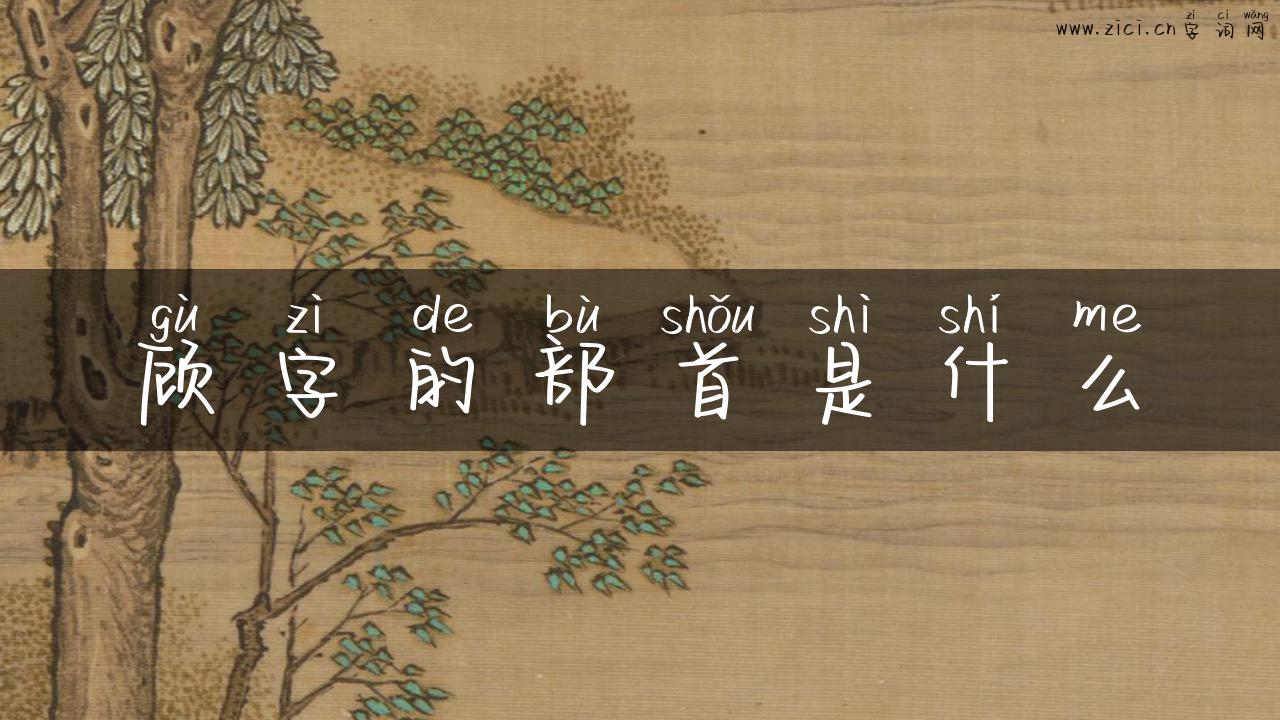 顾字的部首是什么