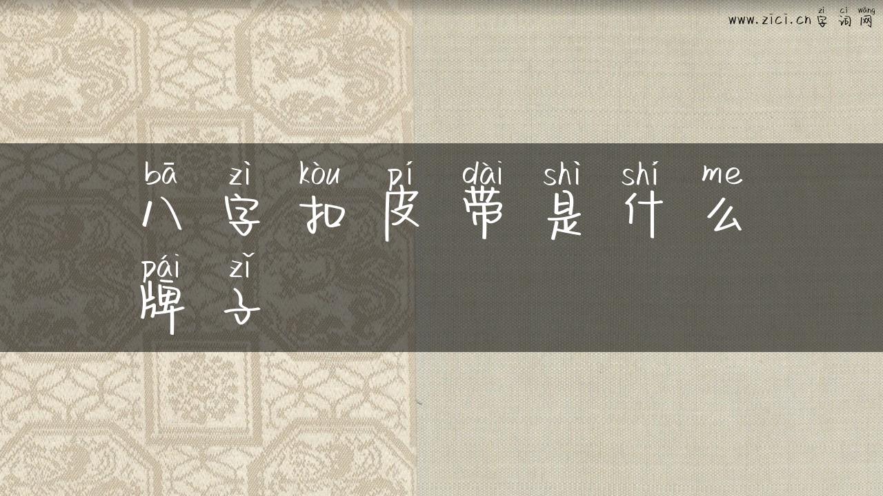 八字扣皮带是什么牌子