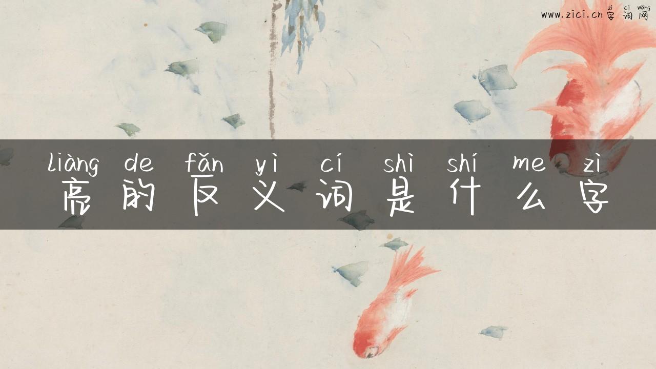 亮的反义词是什么字