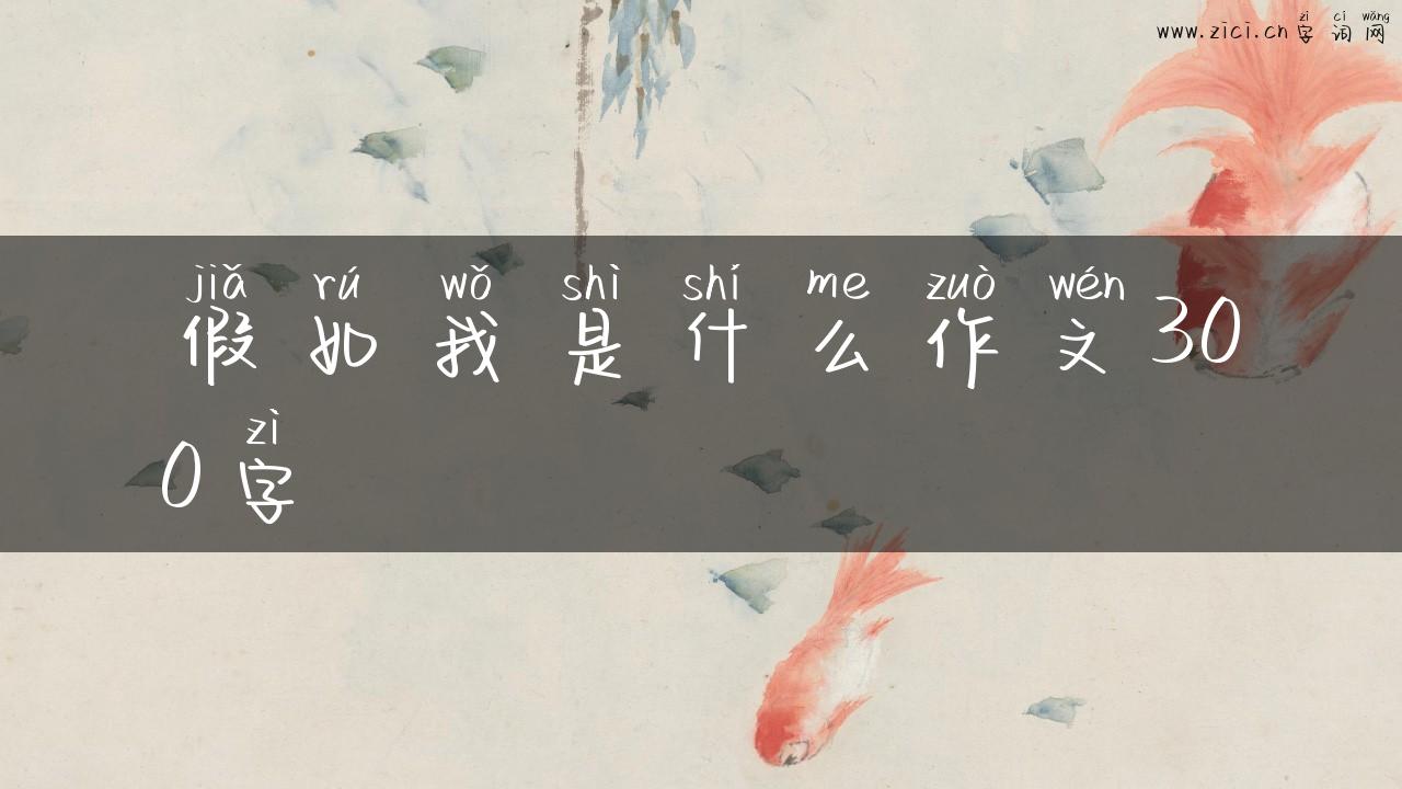假如我是什么作文300字