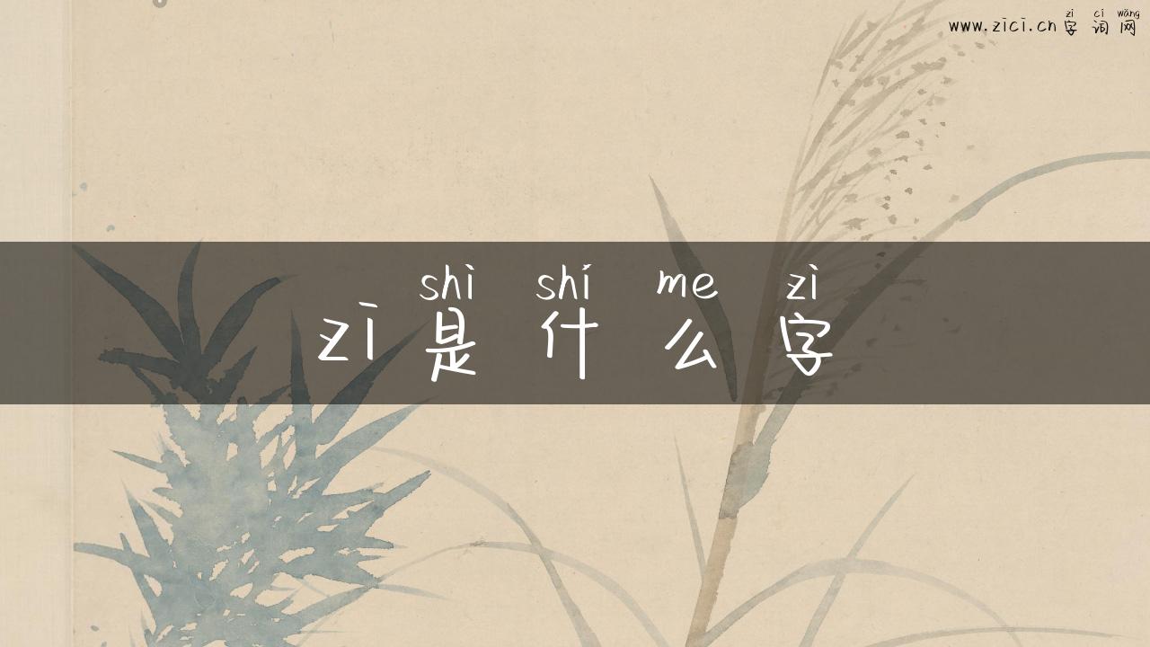 zi是什么字