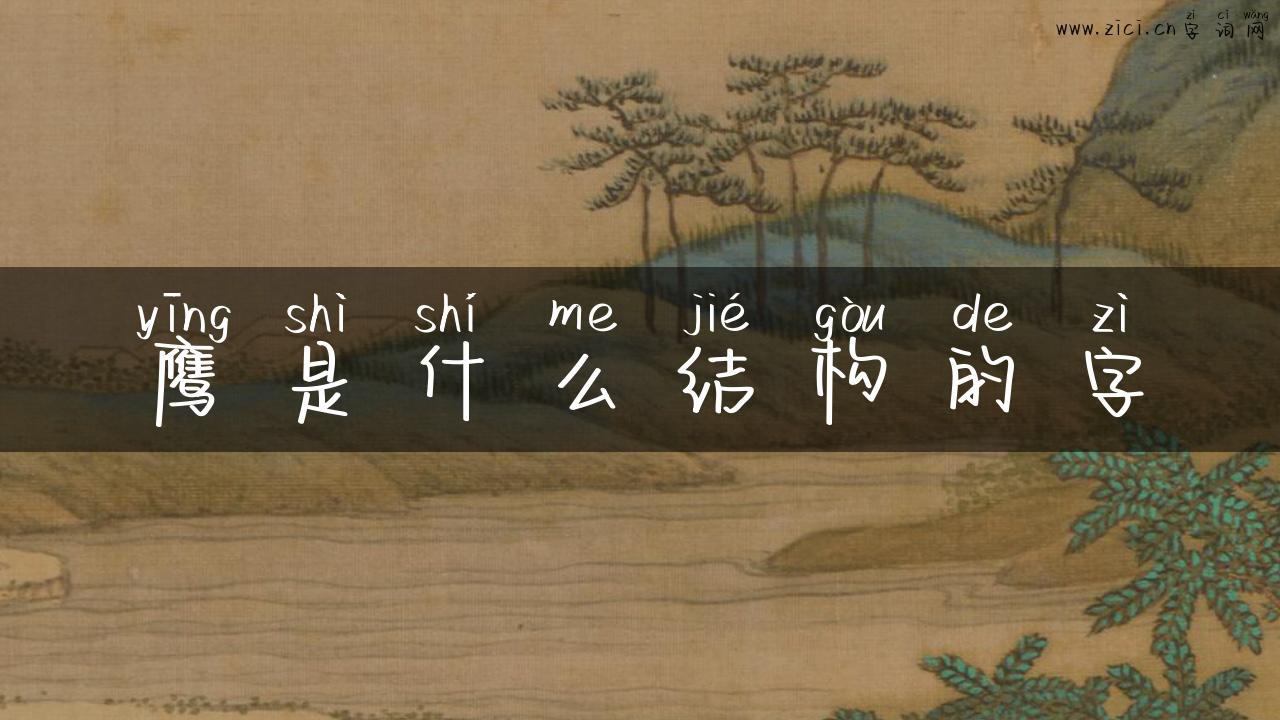 鹰是什么结构的字
