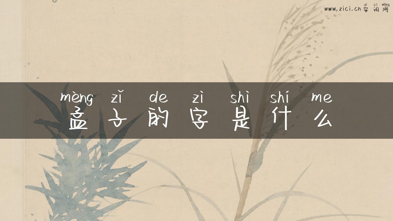 孟子的字是什么