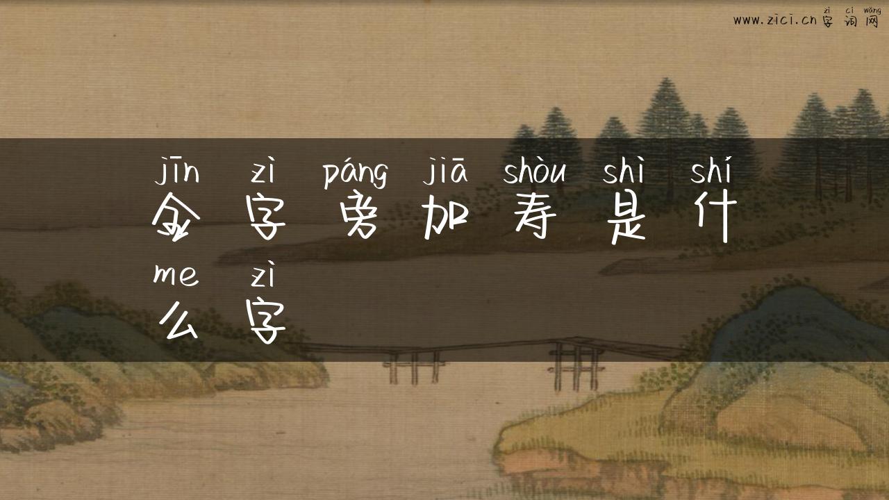 金字旁加寿是什么字