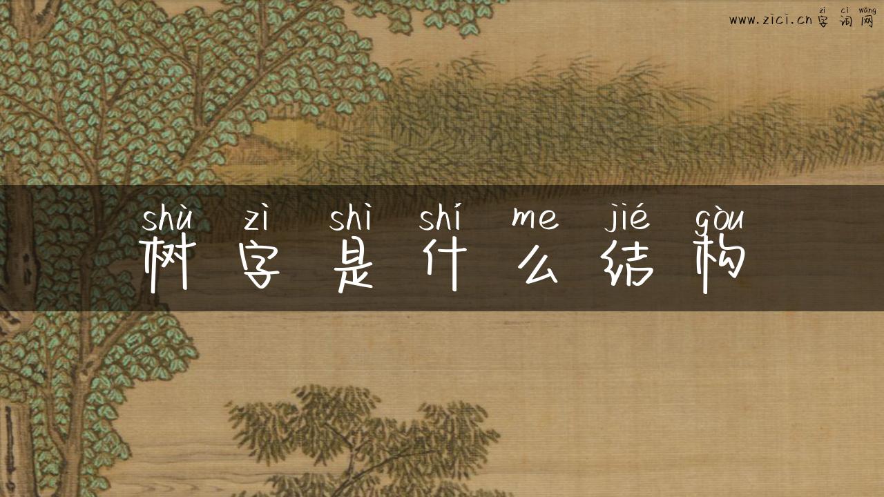 树字是什么结构