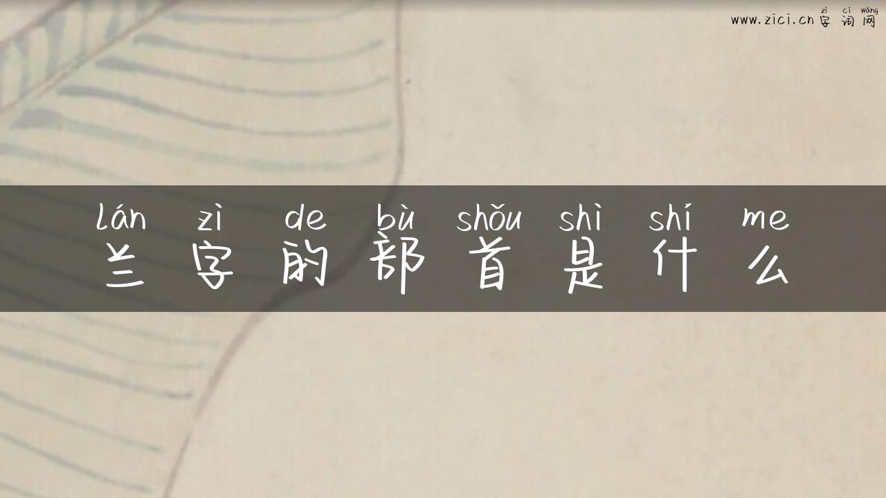 兰字的部首是什么