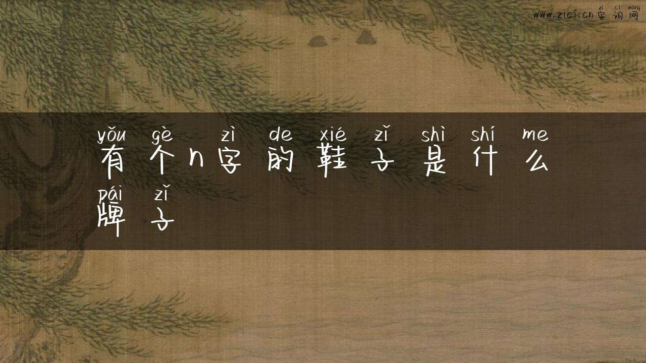 有个n字的鞋子是什么牌子