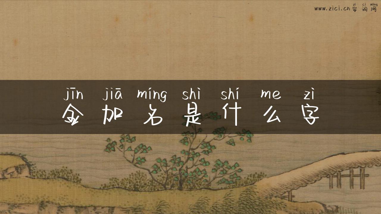 金加名是什么字