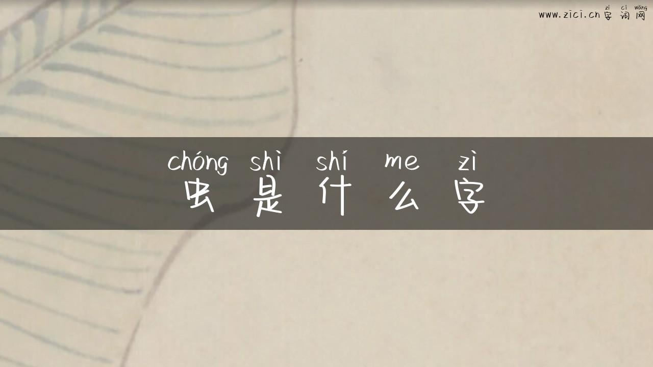 虫是什么字