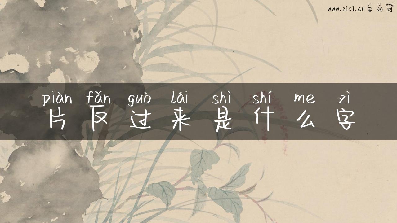 片反过来是什么字