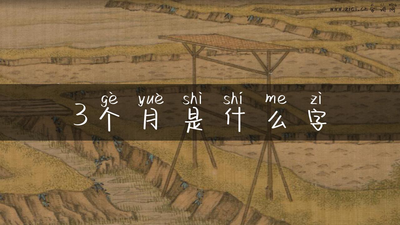 3个月是什么字