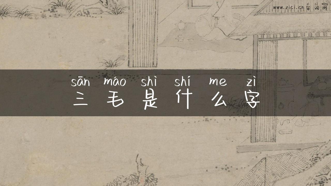 三毛是什么字