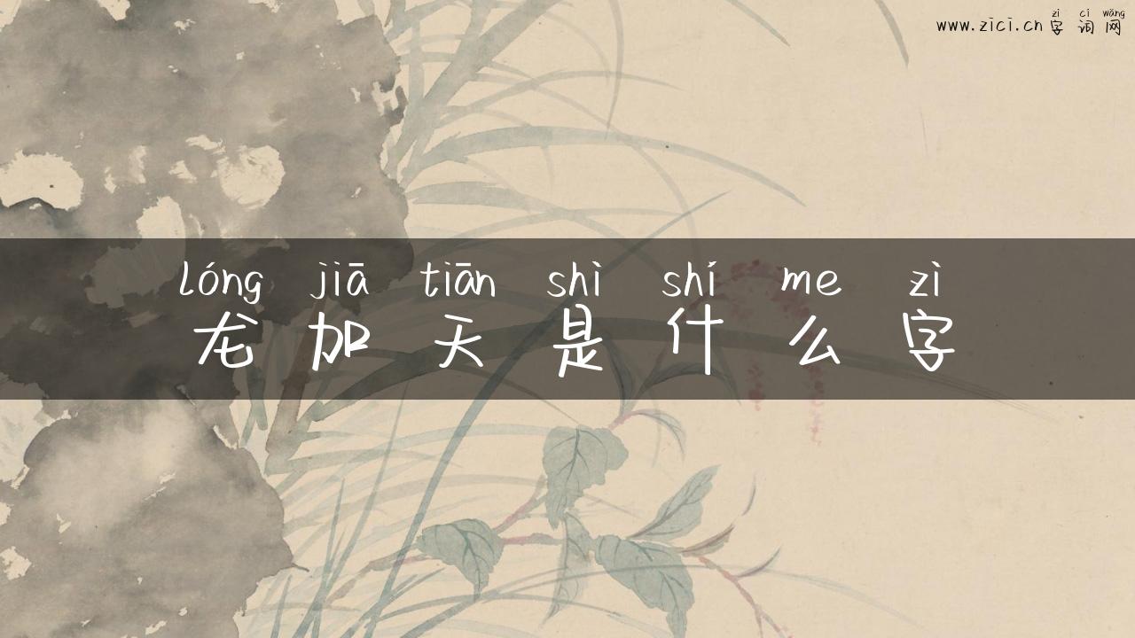龙加天是什么字