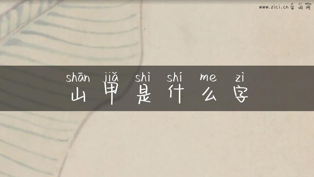 山甲是什么字
