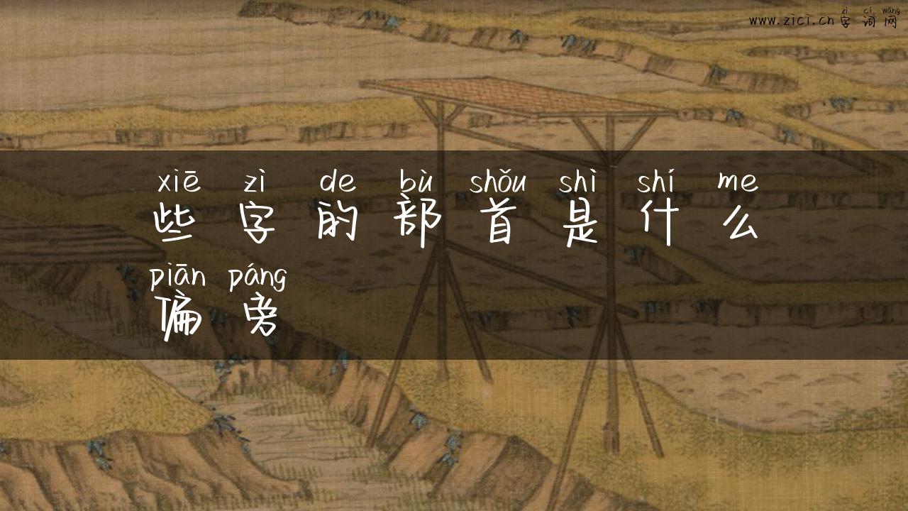 些字的部首是什么偏旁