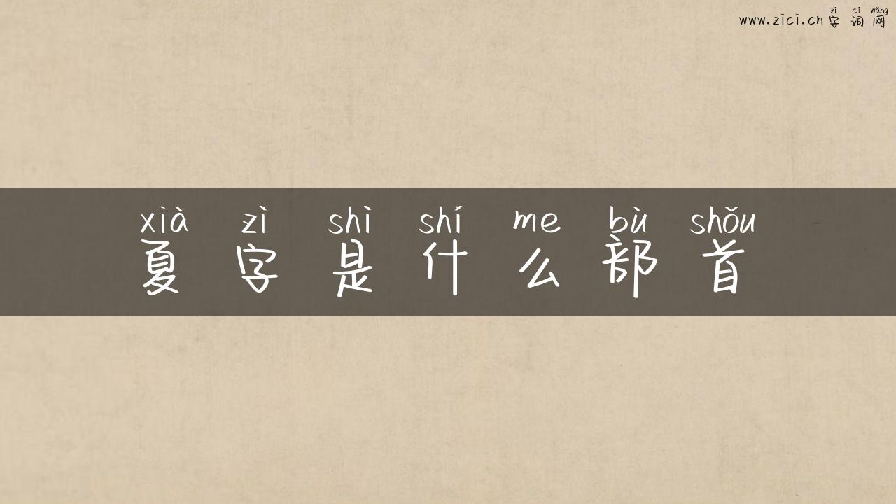 夏字是什么部首