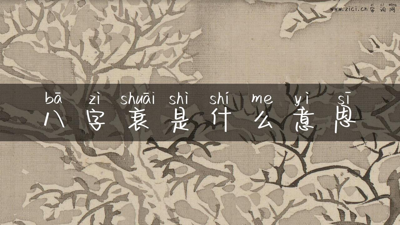 八字衰是什么意思