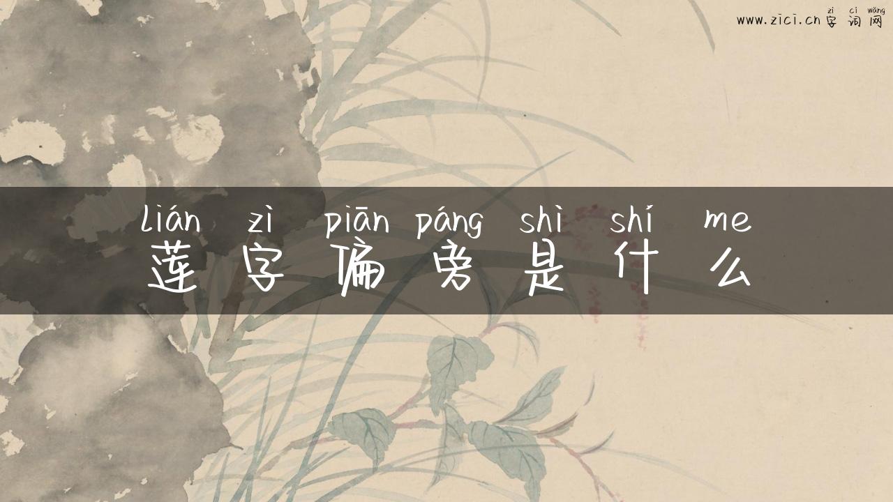 莲字偏旁是什么