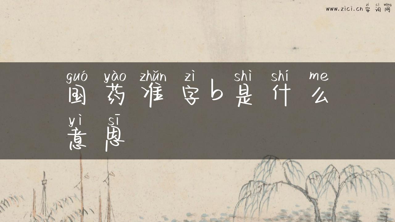 国药准字b是什么意思