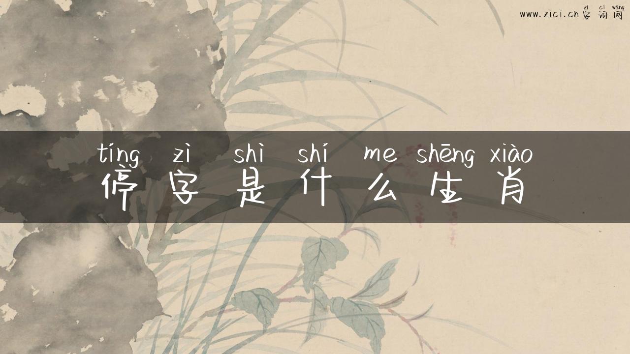 停字是什么生肖
