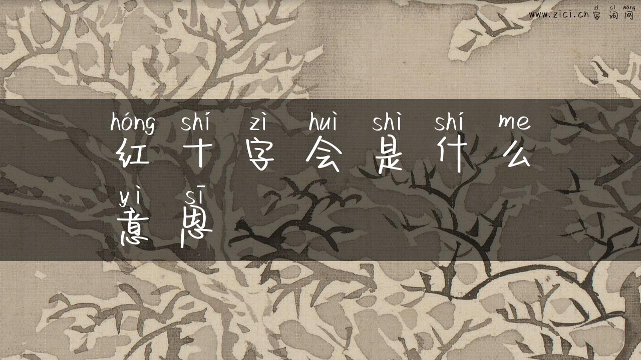 红十字会是什么意思