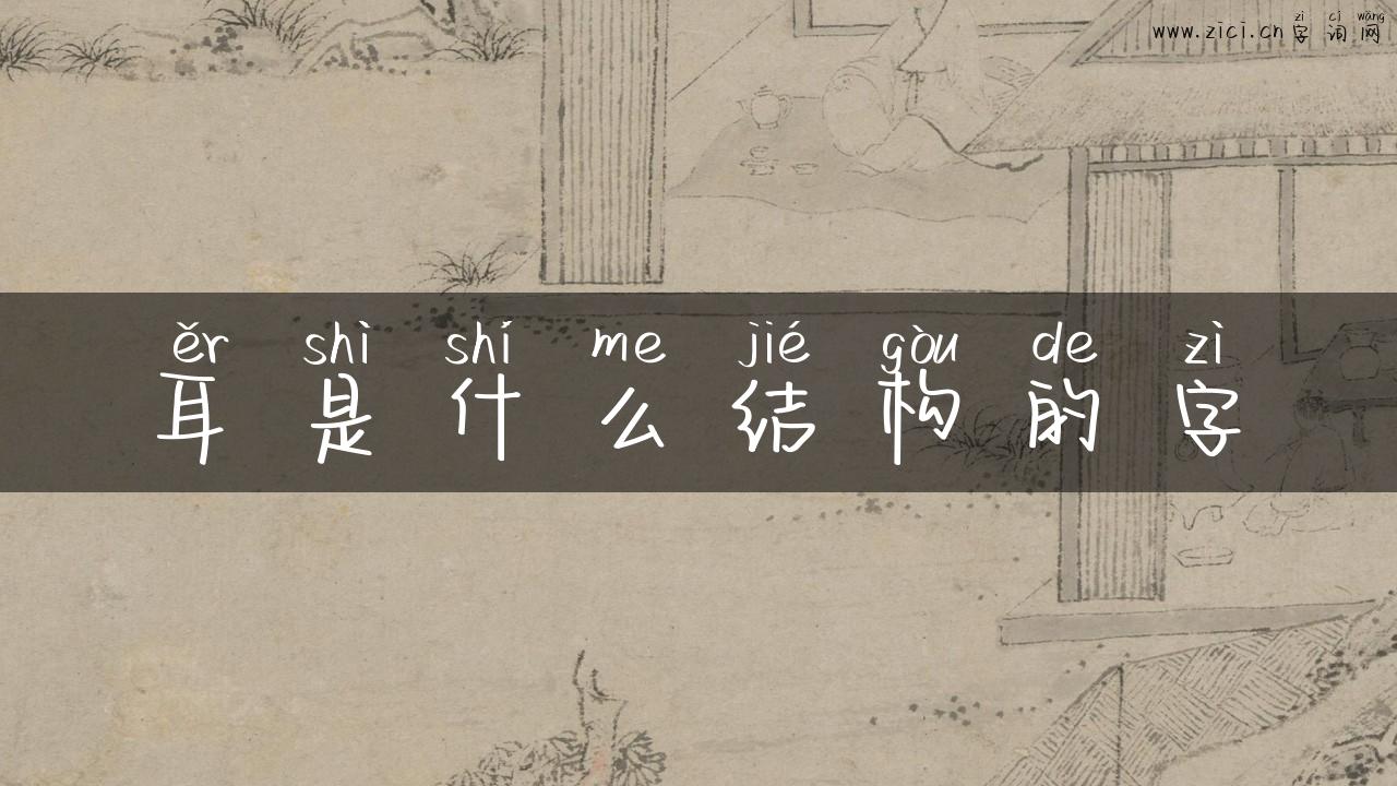耳是什么结构的字