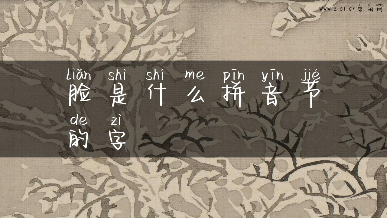 脸是什么拼音节的字