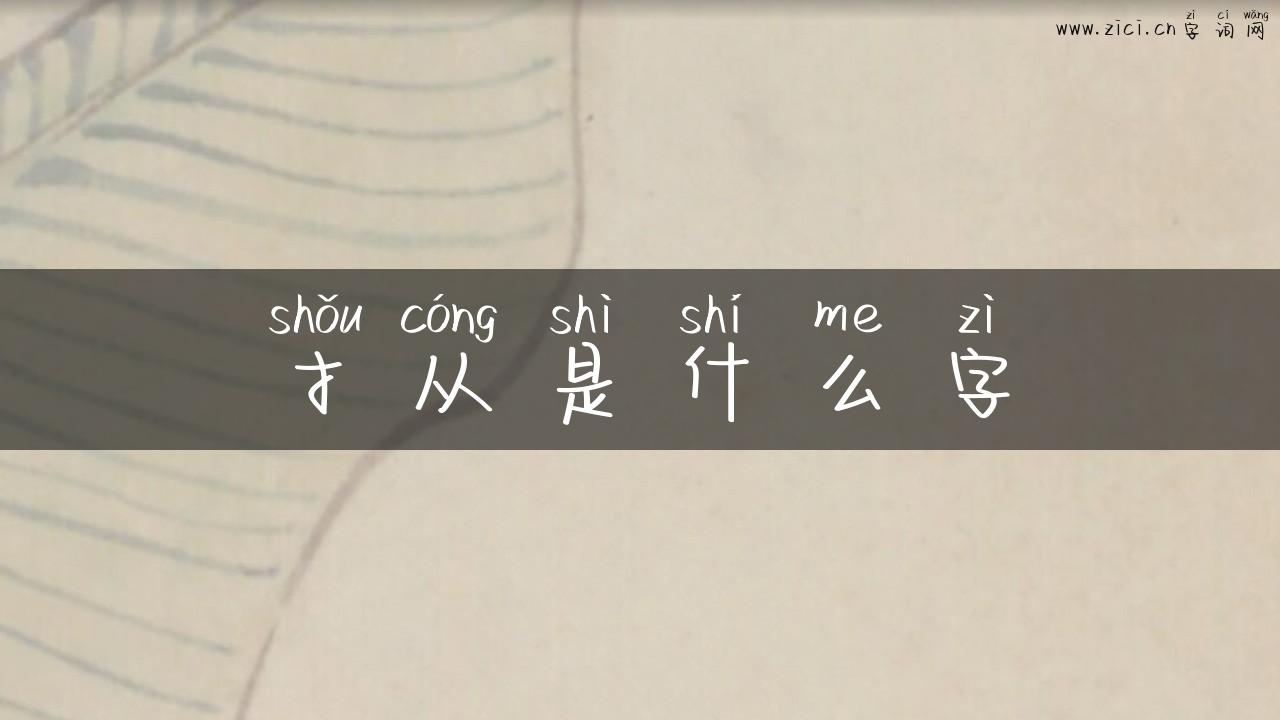 扌从是什么字