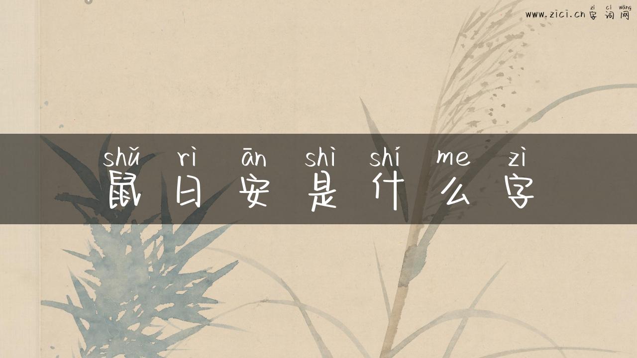 鼠日安是什么字