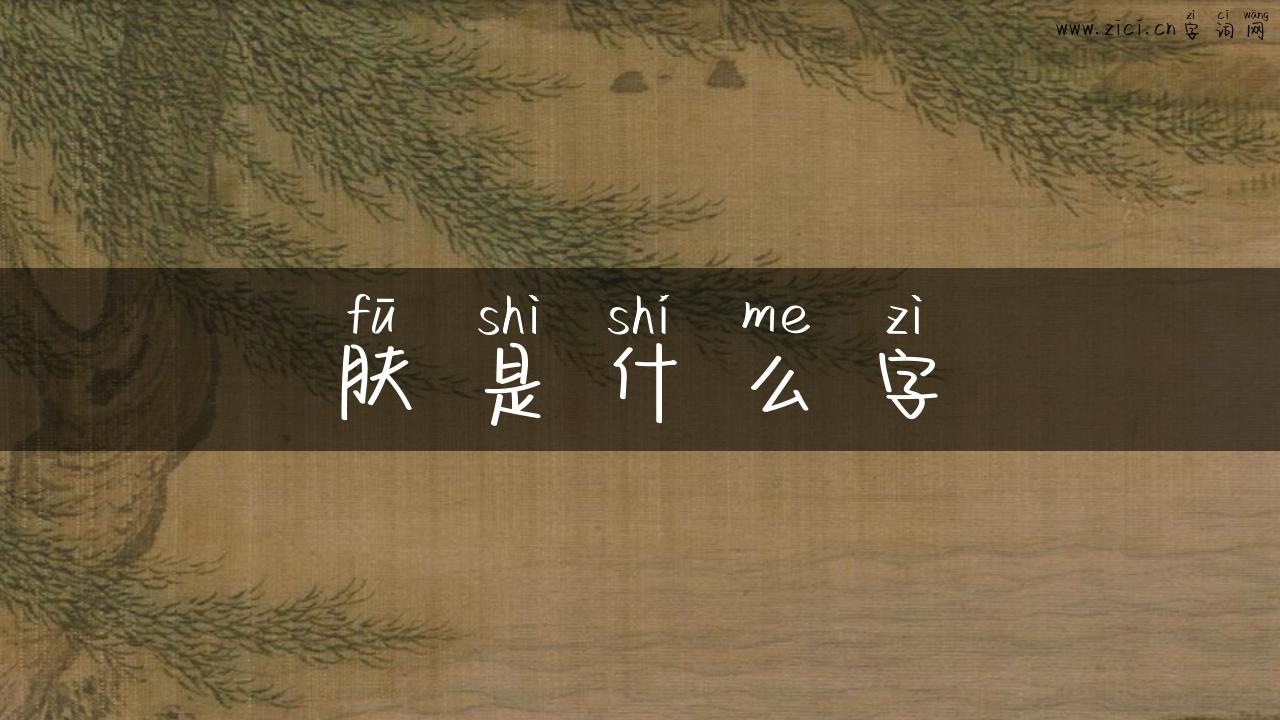 肤是什么字