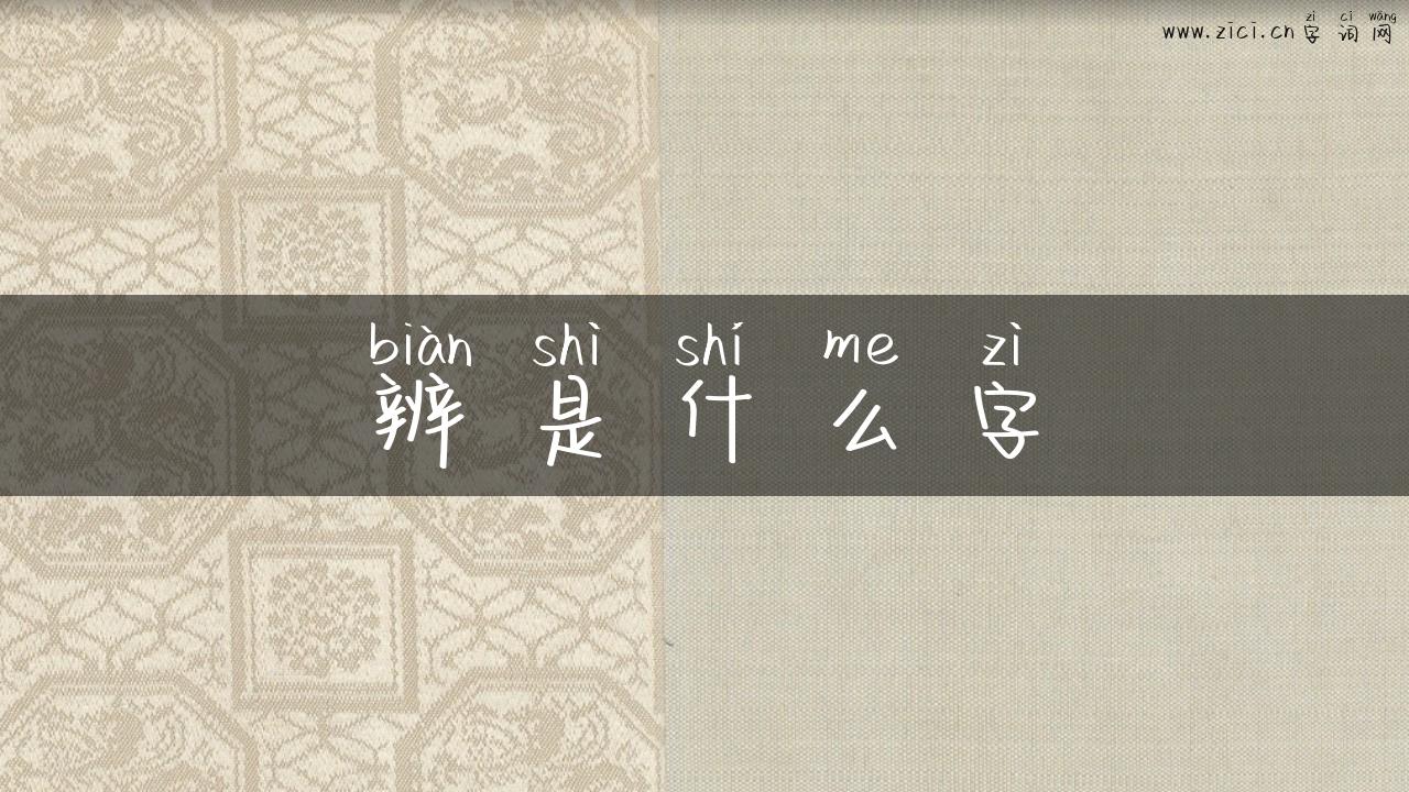 辨是什么字