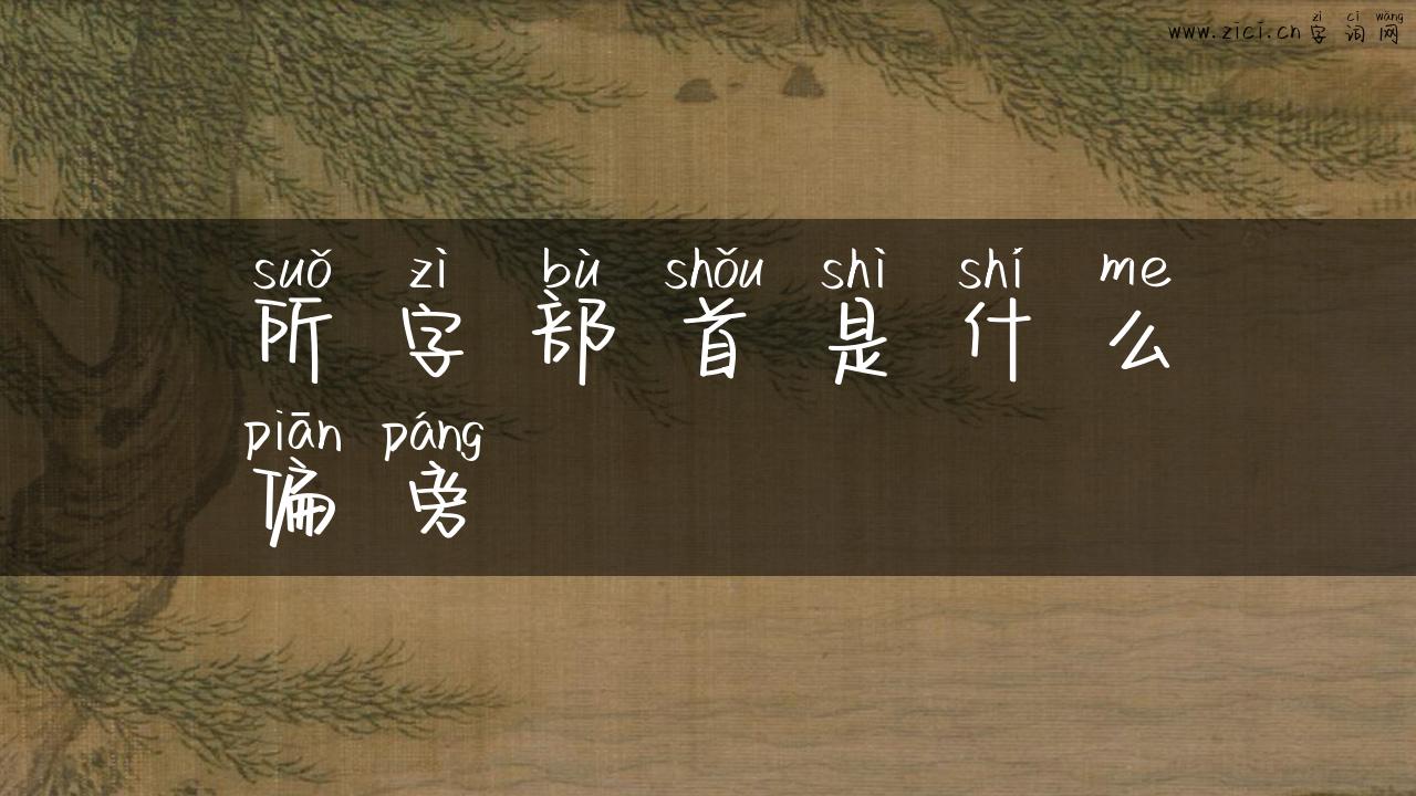 所字部首是什么偏旁