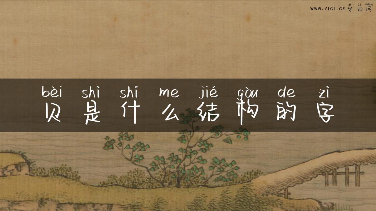 贝是什么结构的字