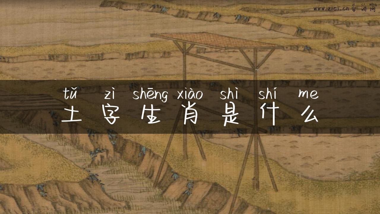 土字生肖是什么