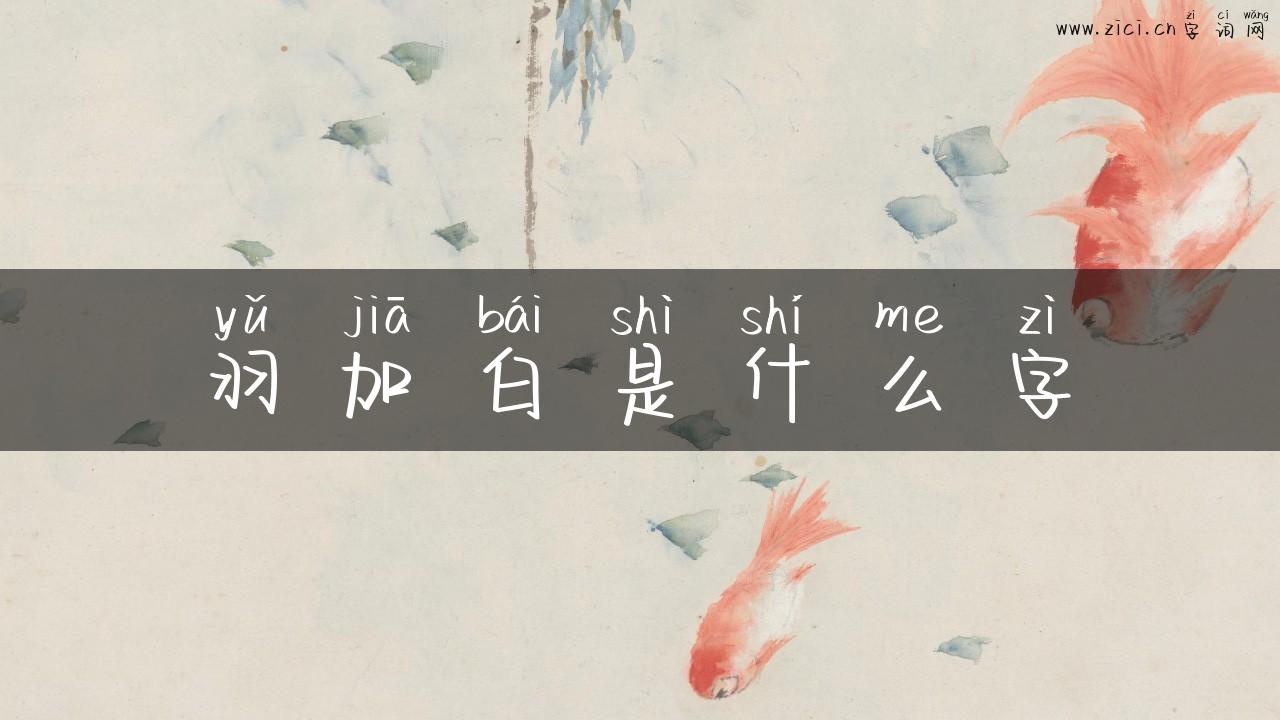 羽加白是什么字