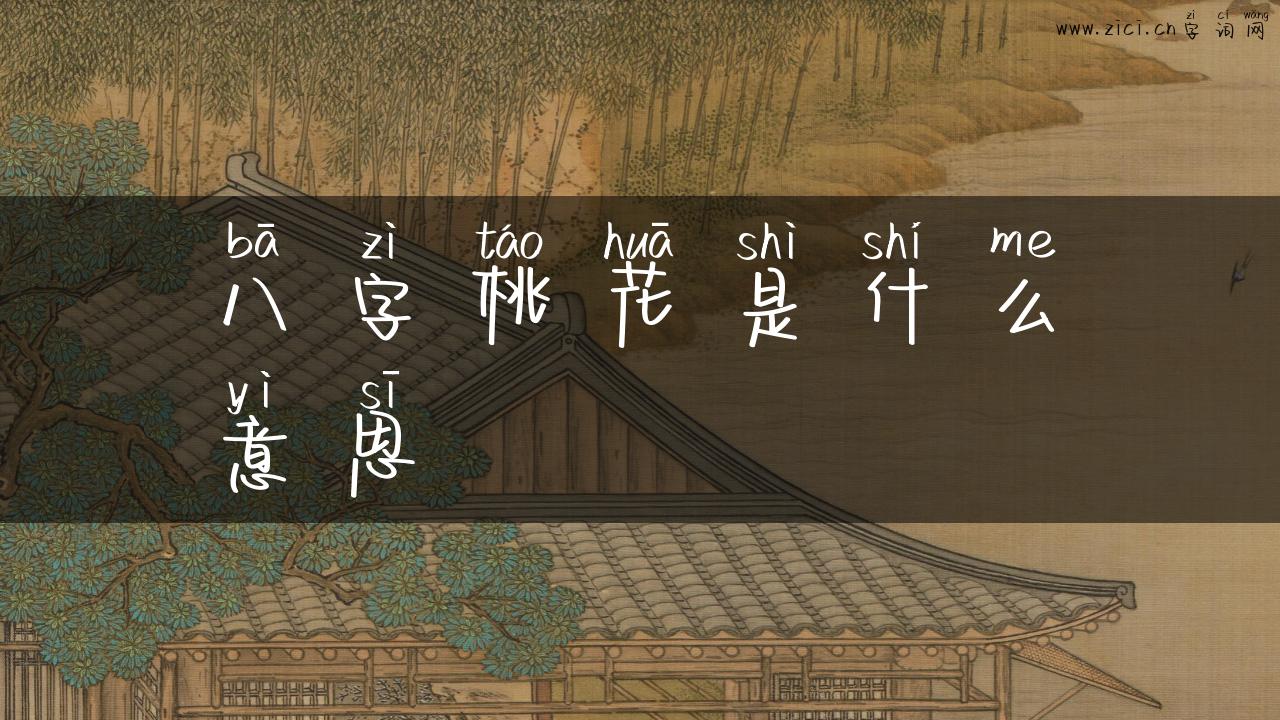八字桃花是什么意思