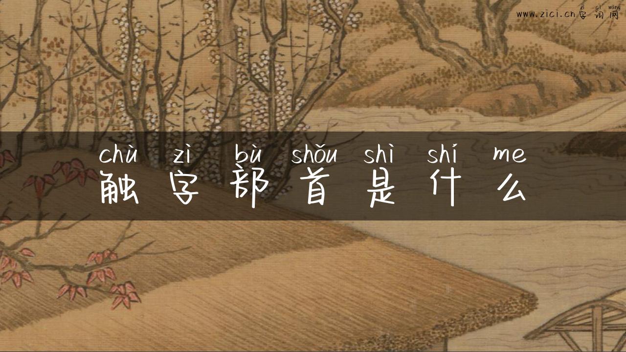 触字部首是什么